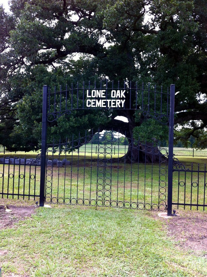 This majestic tree is registered with the Live Oaks Society.